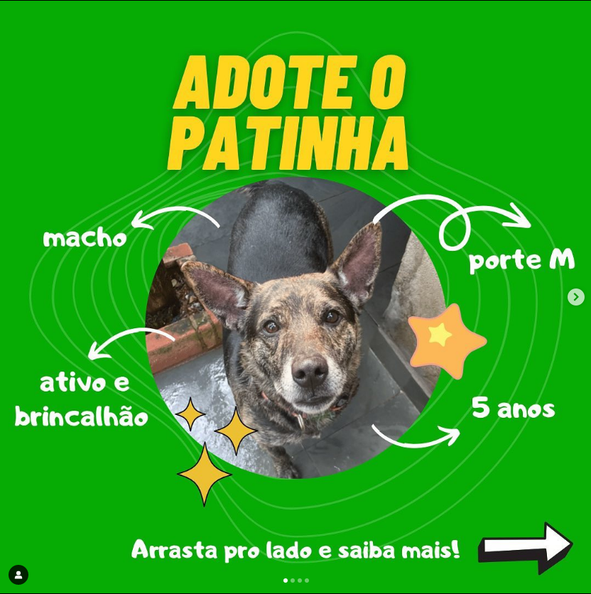 PATINHA