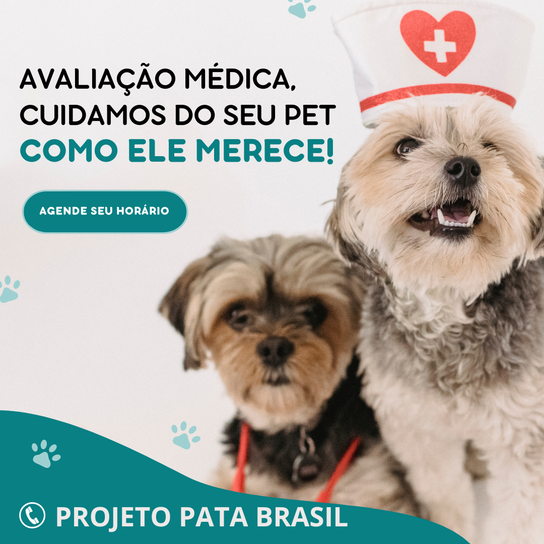 avaliação médica veterinária azul moderno post instagram